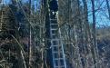 IMG-20250318-WA0006.jpg